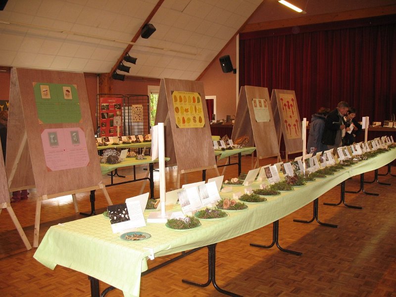 2009 10 Expo champignons de Clairefontaine 17